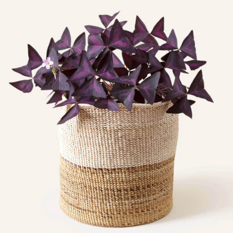 Shooting Star Favor Pouch - Image 7